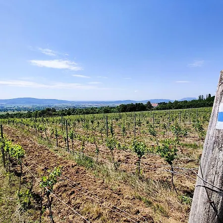 Zala Hills - Batthyany Villapark