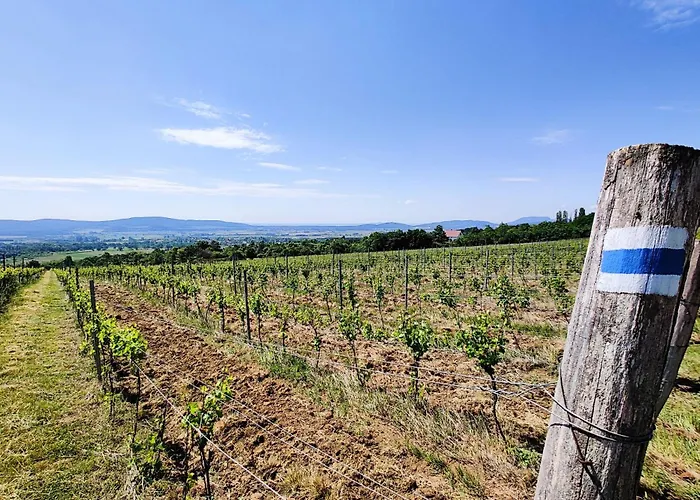 Zala Hills - Batthyany Villapark